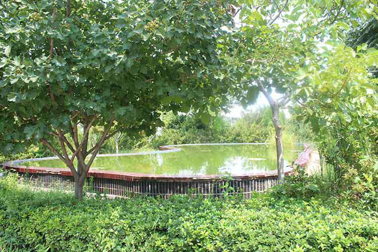 兰州黎宇智能安防有限公司机械厂区环境优美